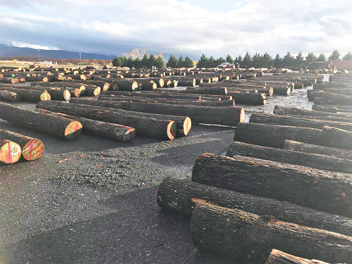 ԭľ���ϼ����ؽ���