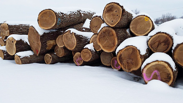 ɽ����ԭľ�ɹ��ռ�