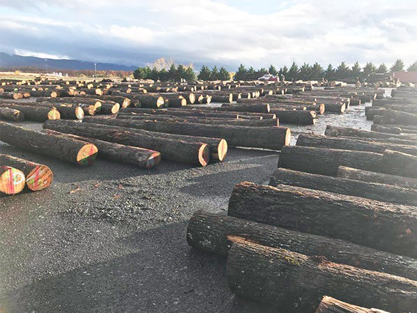 ԭľ���ϼ����ؽ���