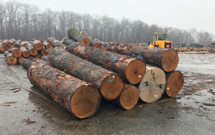 ɽ����ԭľ�ɹ��ռ�