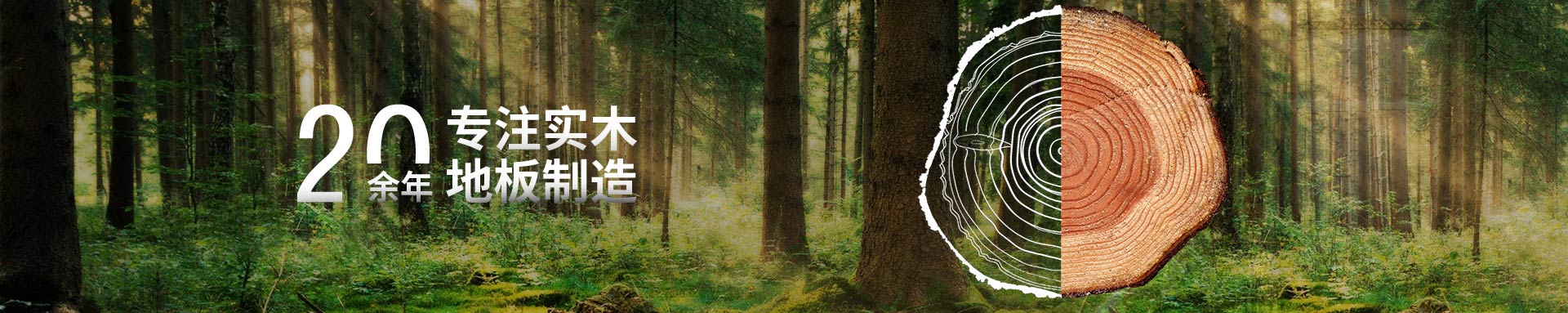 tqb̸���20��רעʵľ�ذ�