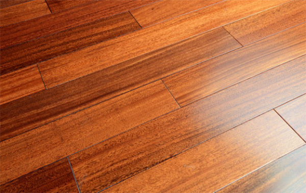 ʵľ�ذ�Ϊʲô�����������